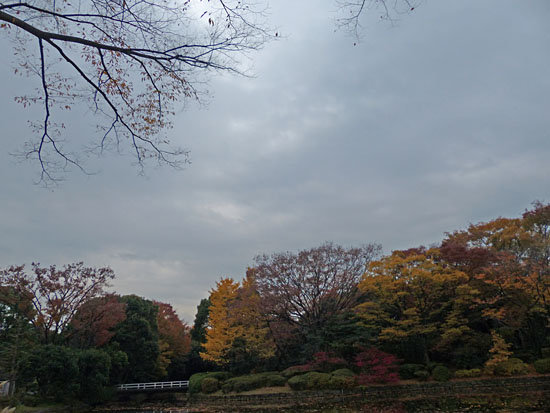 イメージ 7