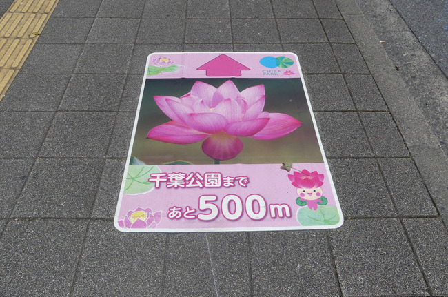 P8060507