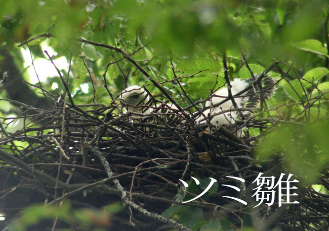 P3090243_edited-1