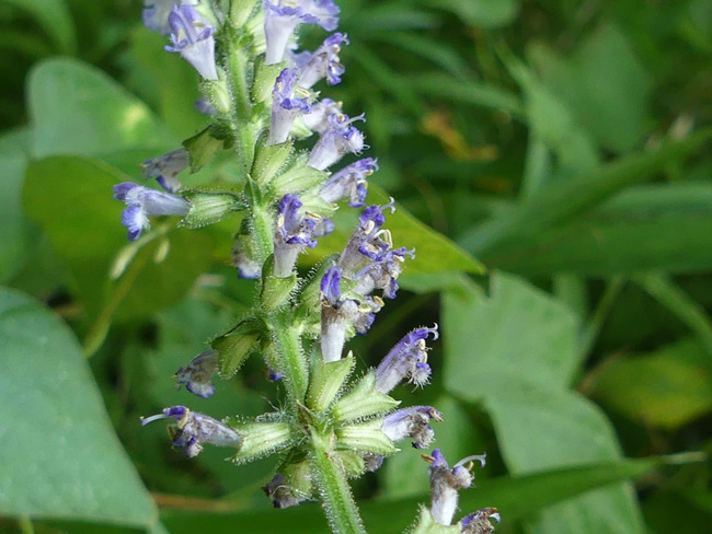 P6710650