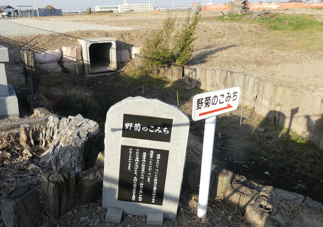P5830560