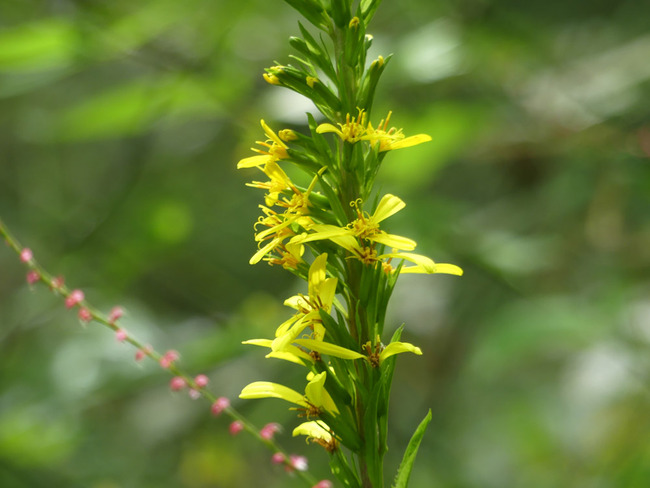 P7970413_edited-1