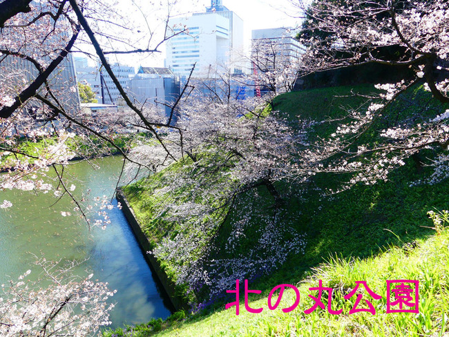 P4500384_edited-1