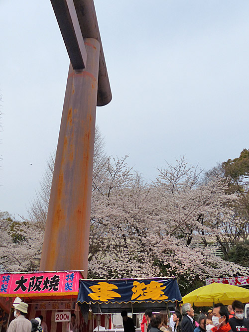 イメージ 4