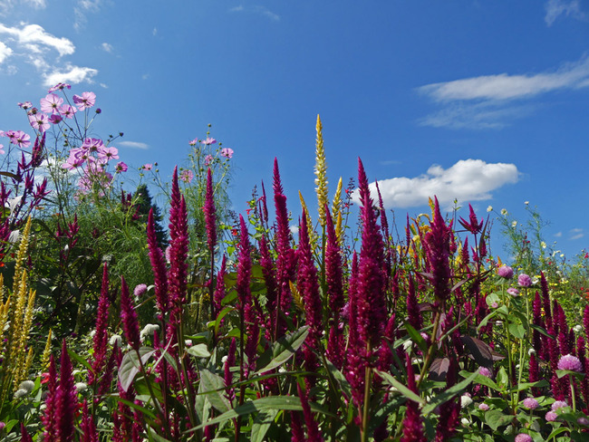 P2170455