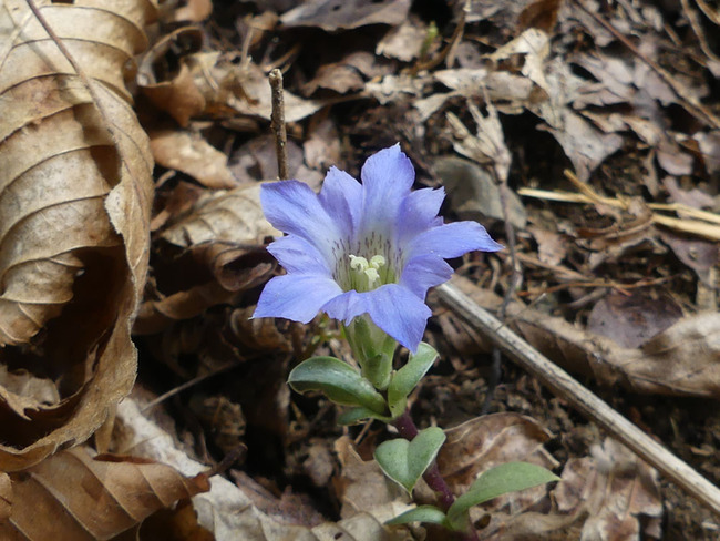 P6350221