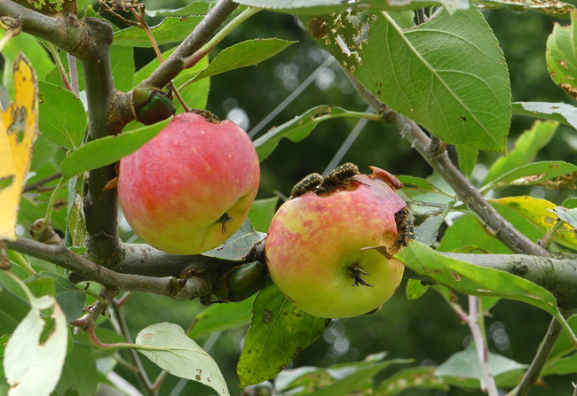 P6810195