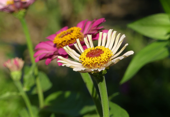 P6700074