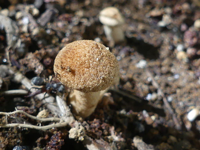 P6790348