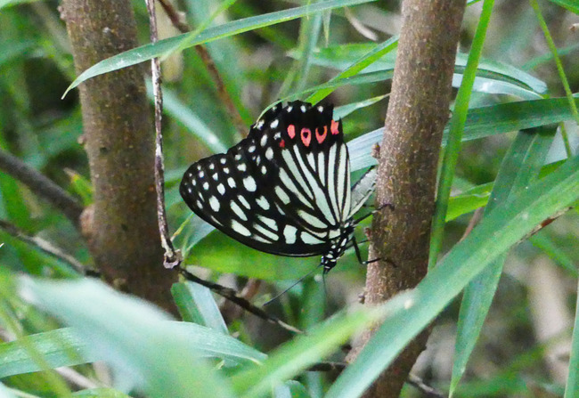 P5310212