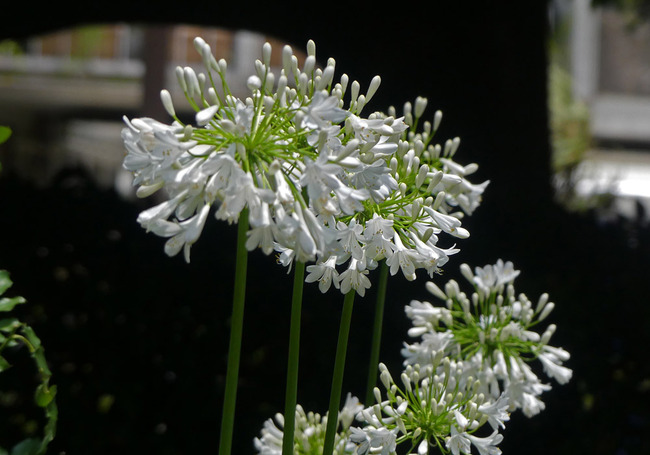 P3220218