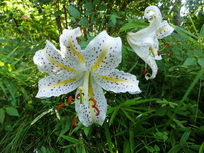 P6710821