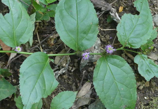P3480799