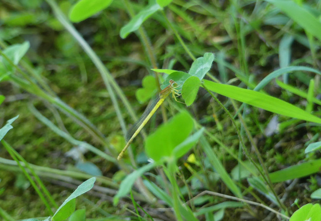 P6680222