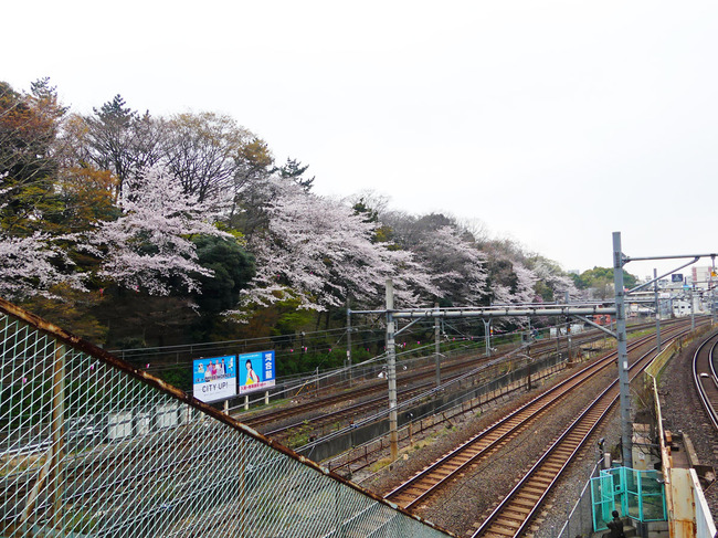 P2970503-_edited-1