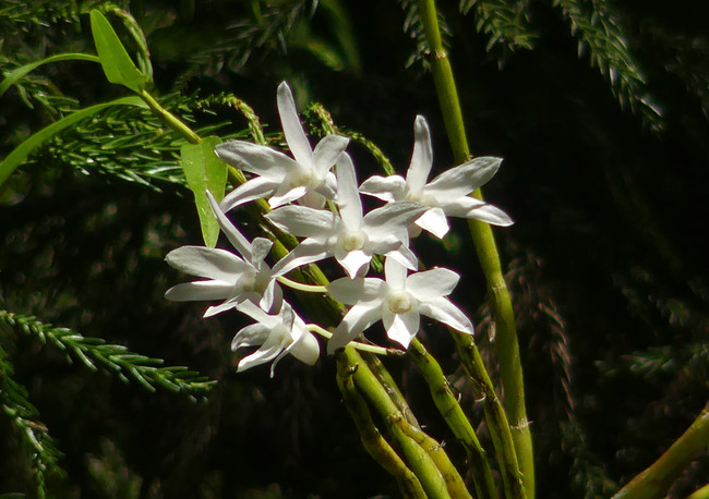 P7250137