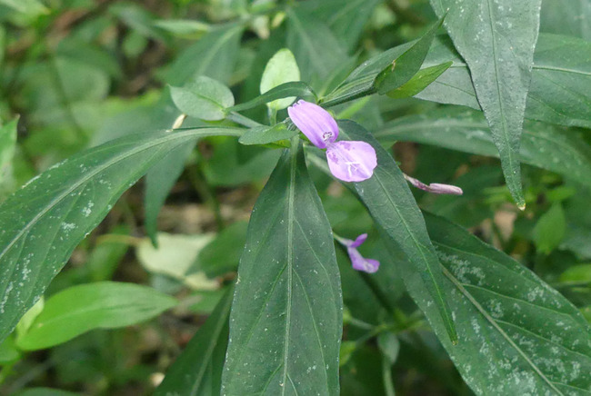 P3470800