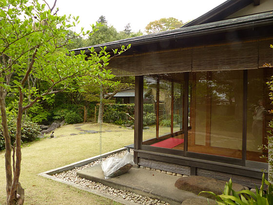 イメージ 8
