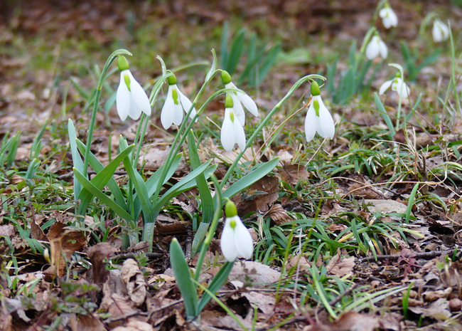 P4570130_edited-1