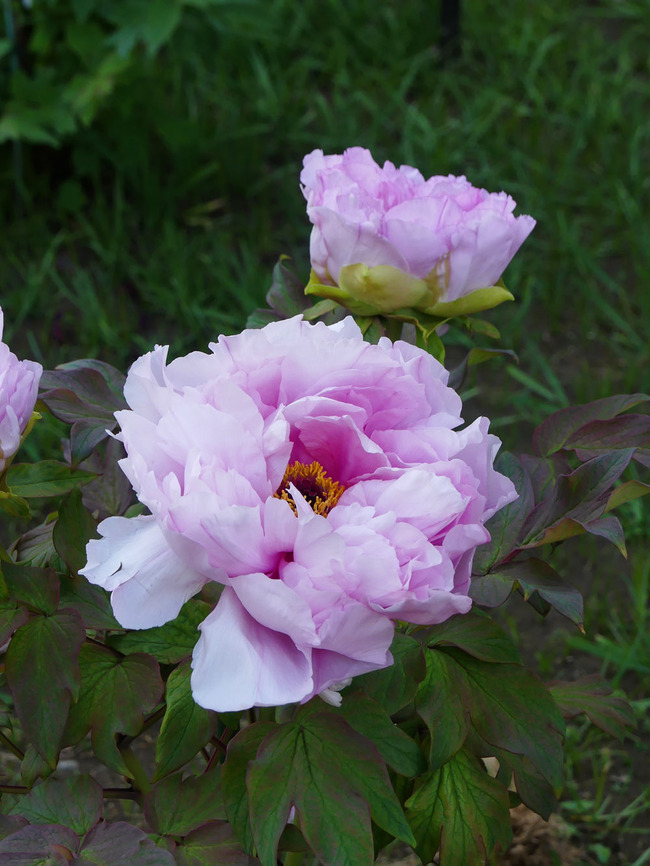 P7720583