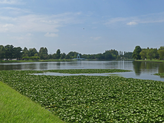 P3390366
