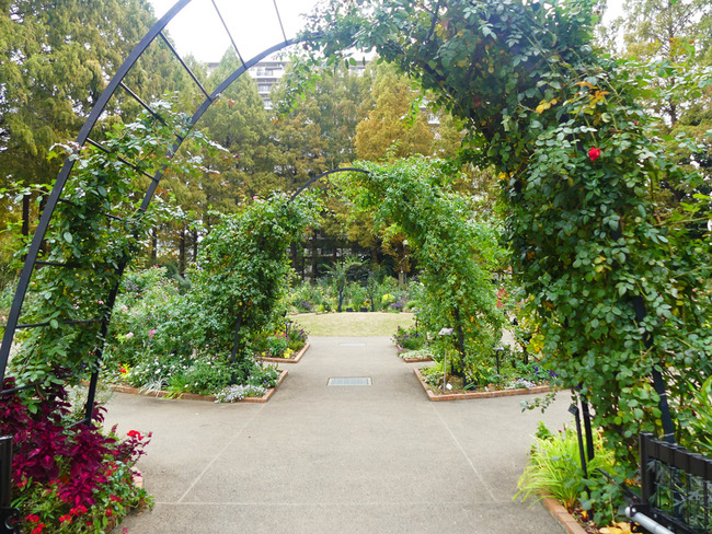 P3600022