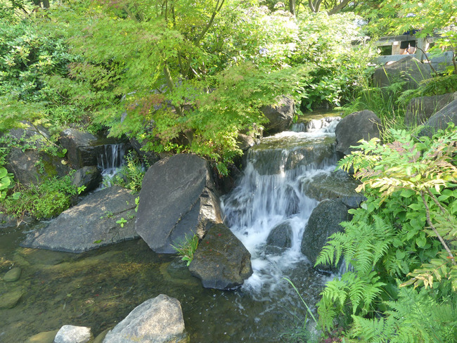 P4180817_edited-1
