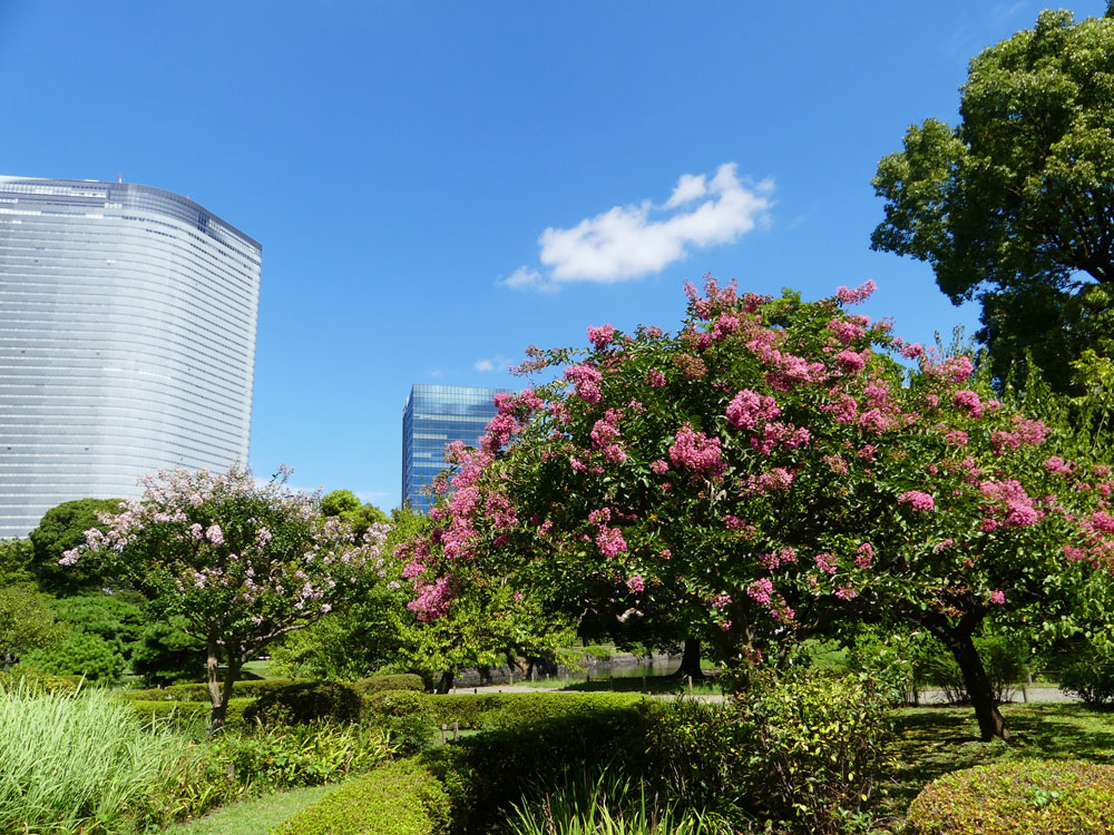 浜離宮庭園から 四季の風2