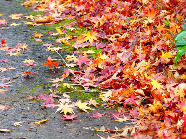 P5860053
