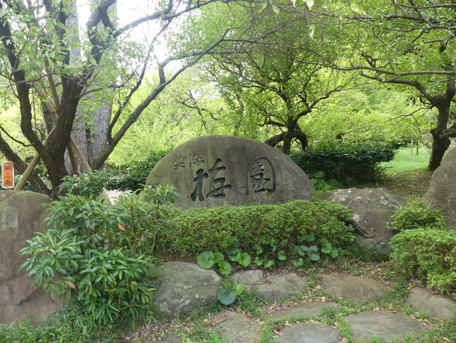 P1100922