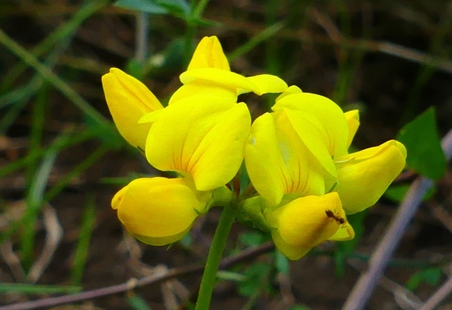 P5210141