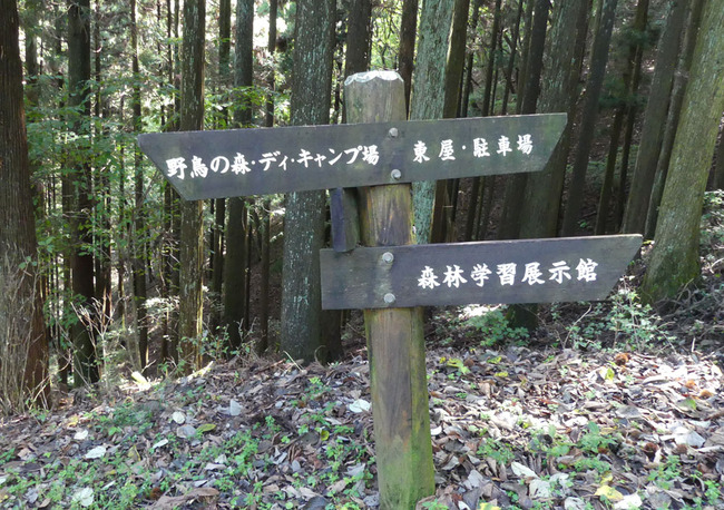 P5670053