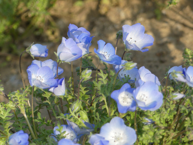 P3130632_edited-1