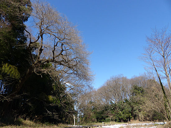 イメージ 3