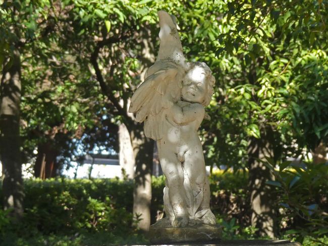 P3730465_edited-1