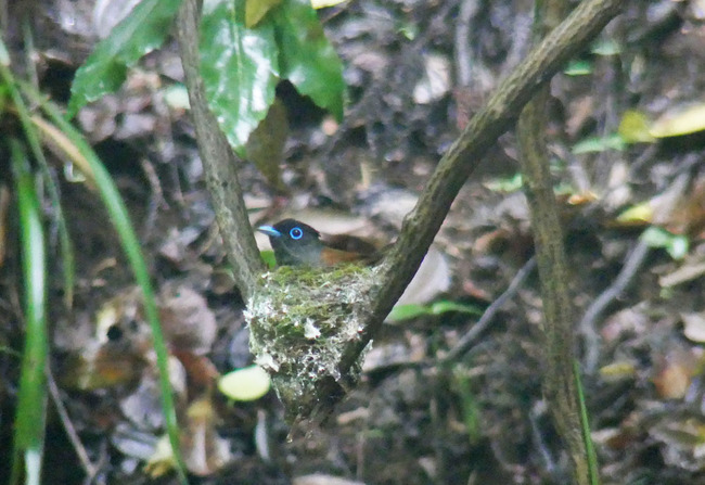 P3740577