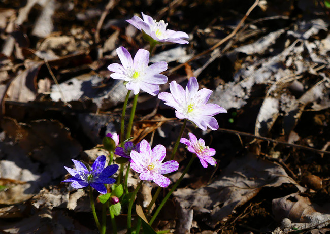 P4480398_edited-1