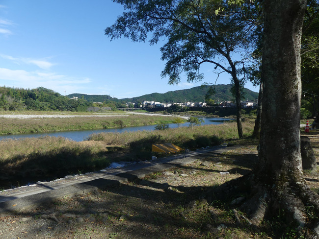 P3520650