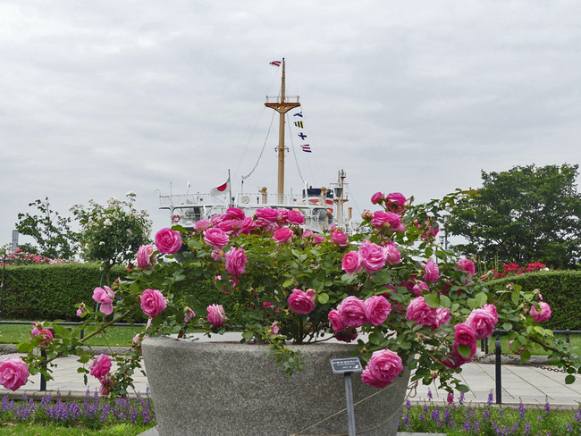 P3050599