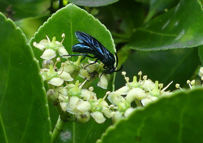 P4860144