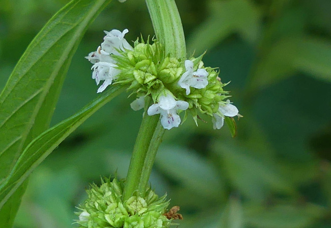P3490023_edited-1