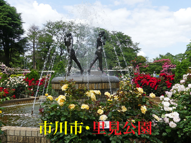 P4730399