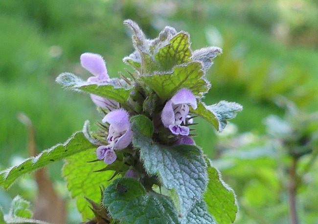 P5920843