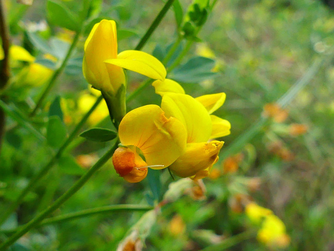 P5210149