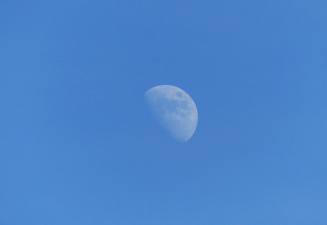 P5210120