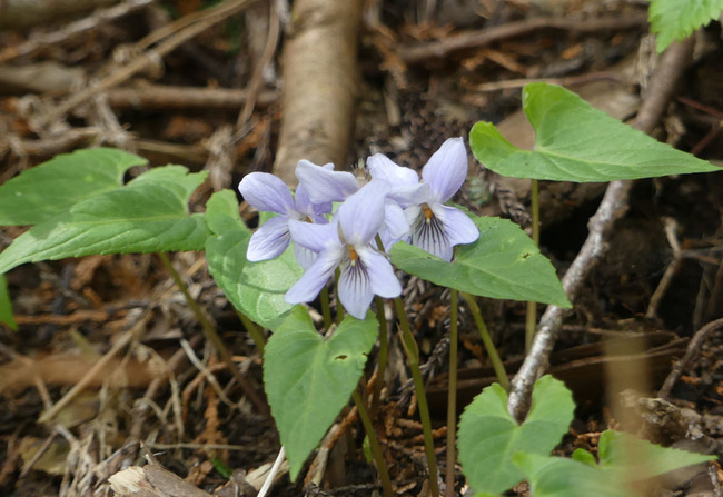 P6350046