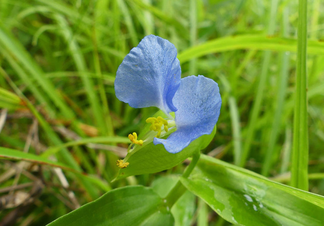 P6650395_edited-1