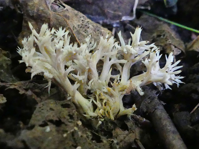 P6790259
