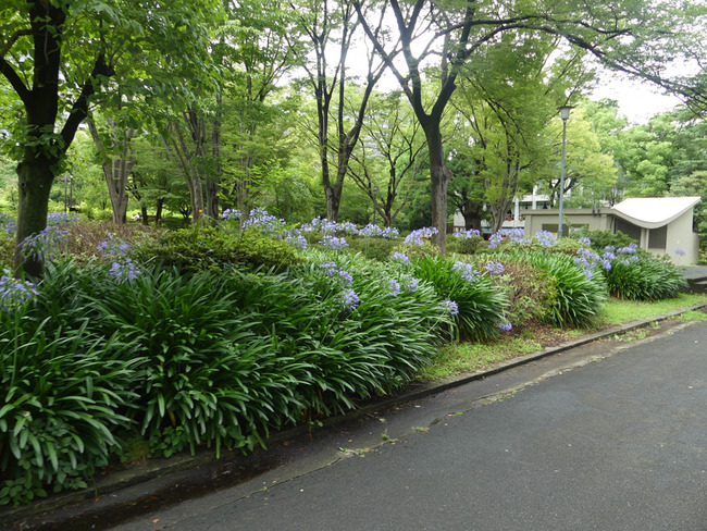 P6640275