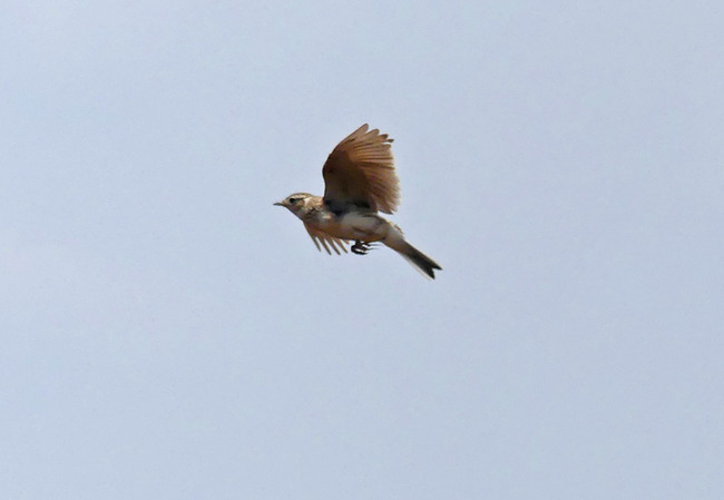 P3000364_edited-1